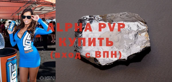 гашик Вязьма
