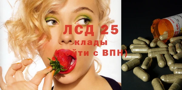гашик Вязьма
